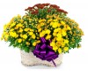 Basket of Fall